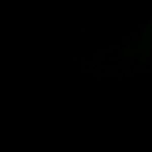 Meet your Posher, Freda